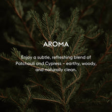 Load image into Gallery viewer, Vitaman Scalp Treatment