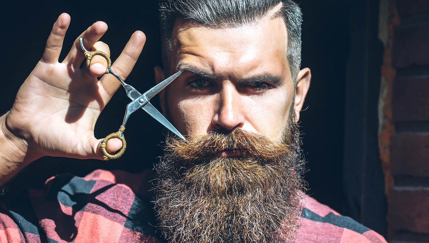 A Brief Guide to Beards