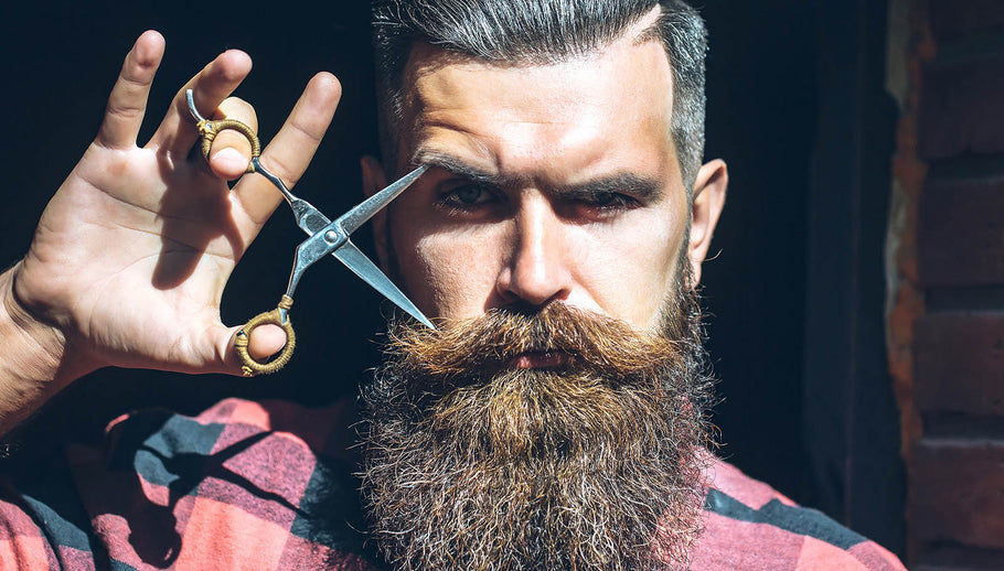 A Brief Guide to Beards